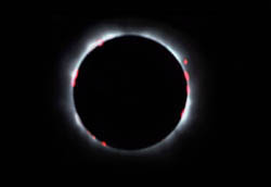 Sun eclipse - prominences