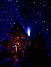Komet Hale-Bopp preko drveća